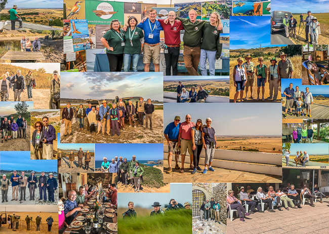 Some of our birding groups during 2017